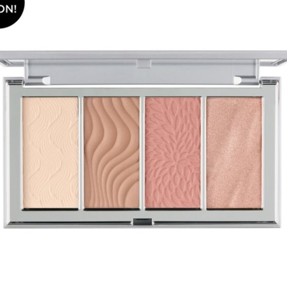 Pur Other - Pur 4 in 1 skin perfecting powders face palette